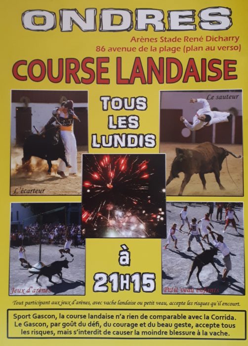 Courses de vaches landaises