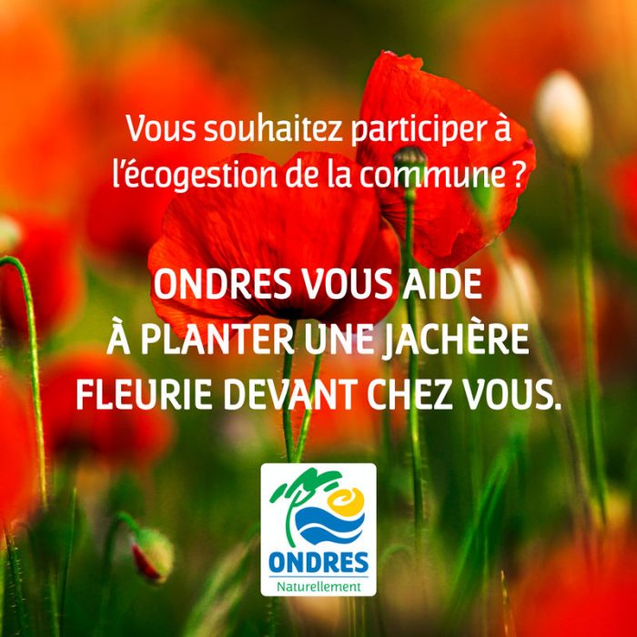 Œuvrez avec la ville pour la biodiversité !