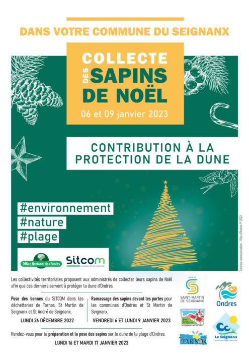 Collecte des sapins de Noël – contribution à la protection de la dune