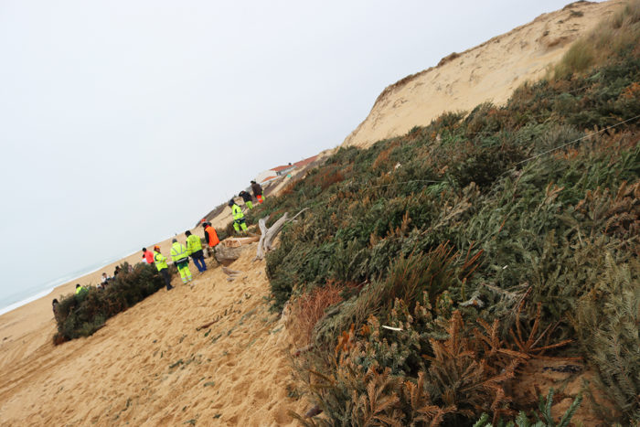 Ici, on protège notre dune !
