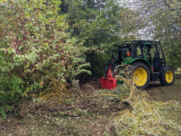 Intervention sur le ruisseau de l’Anguillère