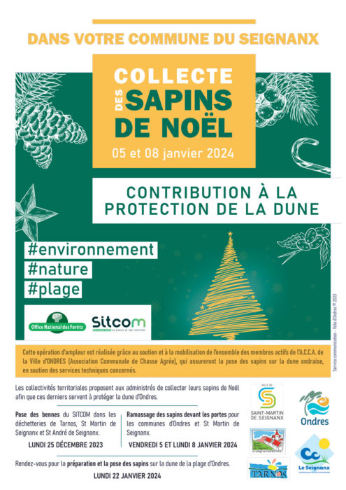 [Développement durable] Collecte des sapins de Noël – Contribution à la protection de la dune