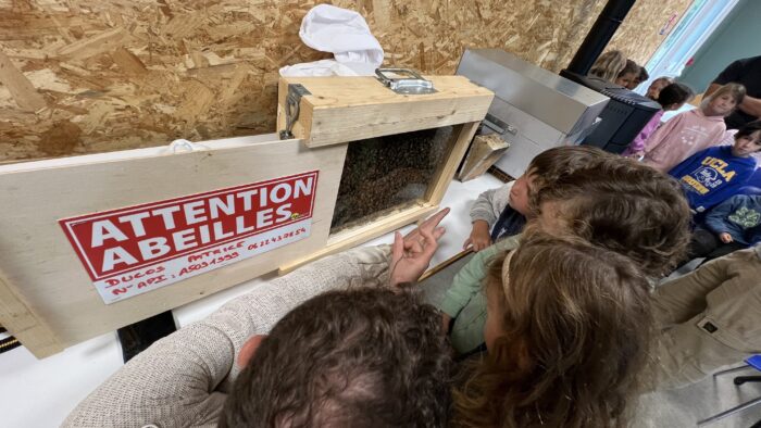 [Développement durable | Éducation] À la découverte du monde fascinant des abeilles avec les enfants d’Ondres.