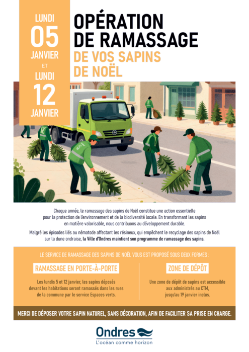 #DéveloppementDurable | Ramassage des sapins de Noël 2026