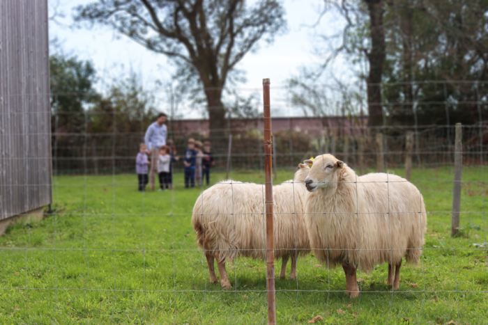 #Education | Découverte de la nature pour les écoliers