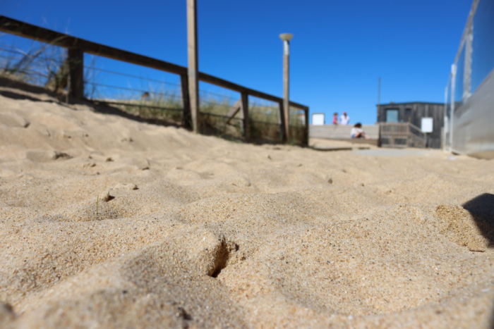 #Travaux | Désensablement et remise en état de la plage d’Ondres-Océan