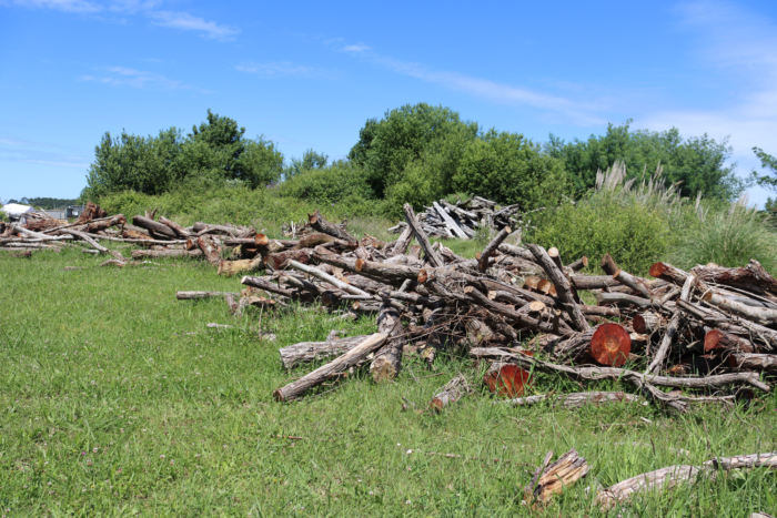 #CadreDeVie | Mise à disposition gratuite de bois pour les Ondrais