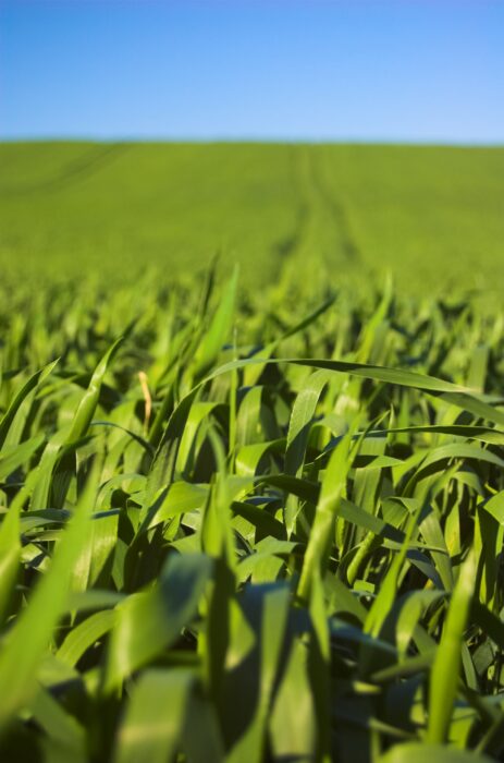 #Agriculture | Reconnaissance de calamité agricole après les dommages liés au vent fort des 11 et 12 février 2026 🌾